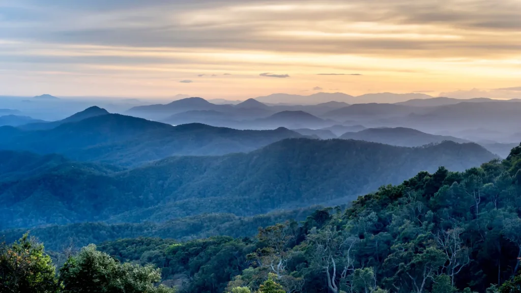Montañas cubiertas de bosque bajo un cielo de amanecer, con bruma entre los valles